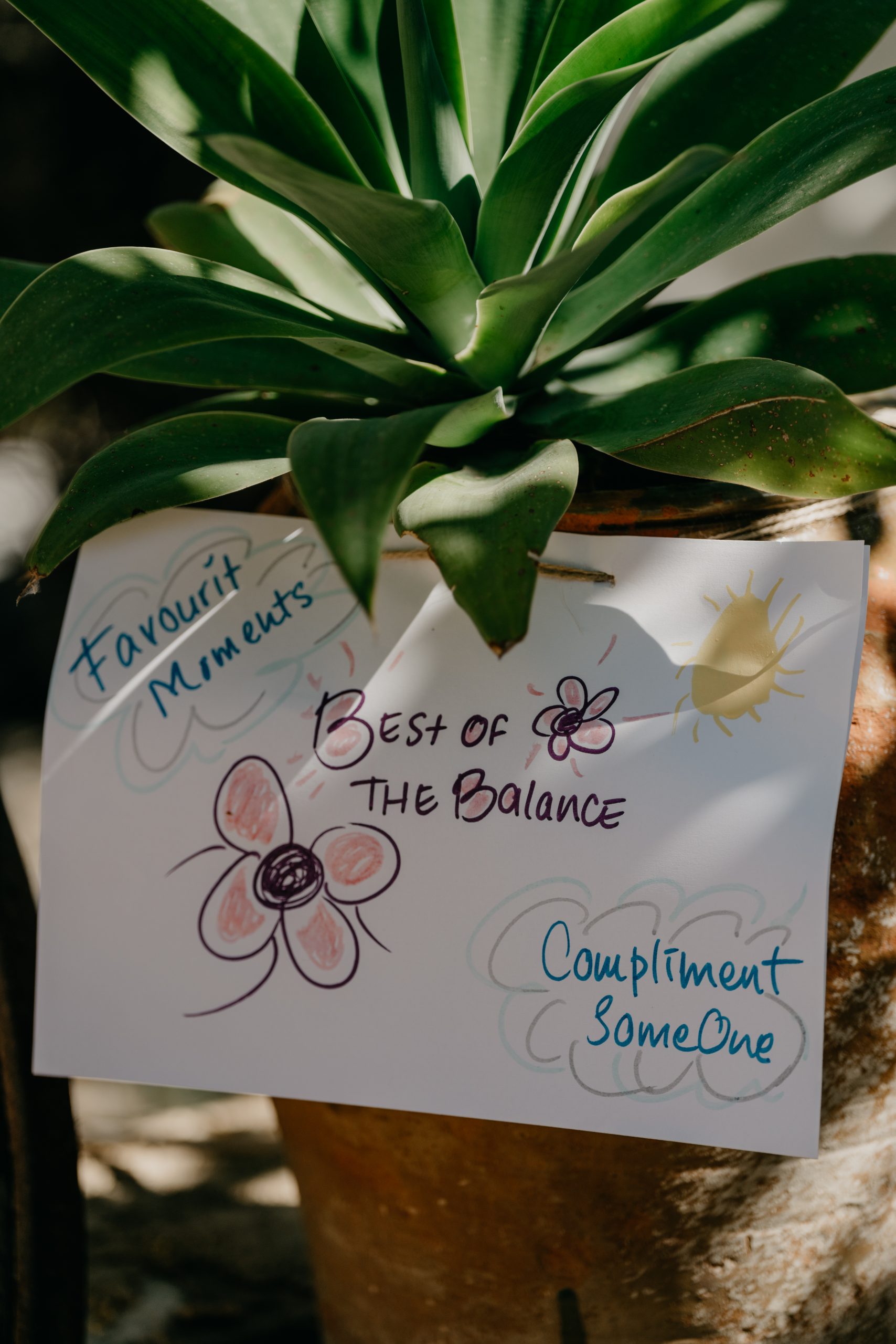 Sleeping Pills In India