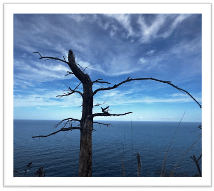 Burnout recovery for Business Leaders  